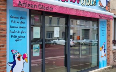 le Manchot Glacé